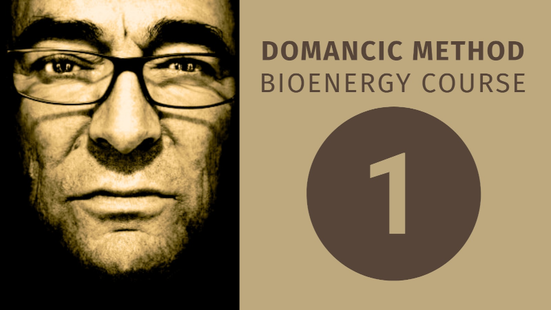 Domancic Level 1 Course